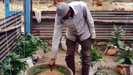 Retired soldiers doing organic farming in the house