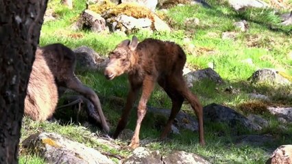 Beyond the Unknown - Se2 - Ep02 - Amelia Earhart HD Watch