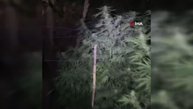 'Spora gidiyorum, spordan geliyorum' şifresi torbacıları ele verdi: 5 kişi tutuklandı