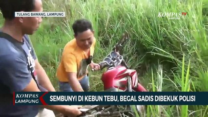 Sembunyi di Kebun Tebu, Begal Sadis Dibekuk Polisi