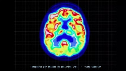 Albatroz | movie | 2019 | Official Trailer