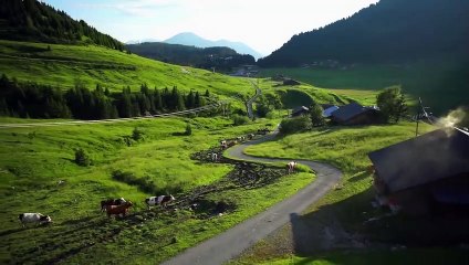 The Seasons in Quincy: Four Portraits of John Berger | movie | 2016 | Official Trailer