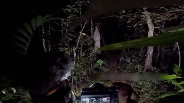 Bikin Jantungan !!! Inilah 7 Penampakan Hantu Nyata Terseram dan Paling menakutkan