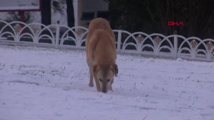 İSTANBUL-ÇAMLICA TEPESİ BEYAZA BÜRÜNDÜ