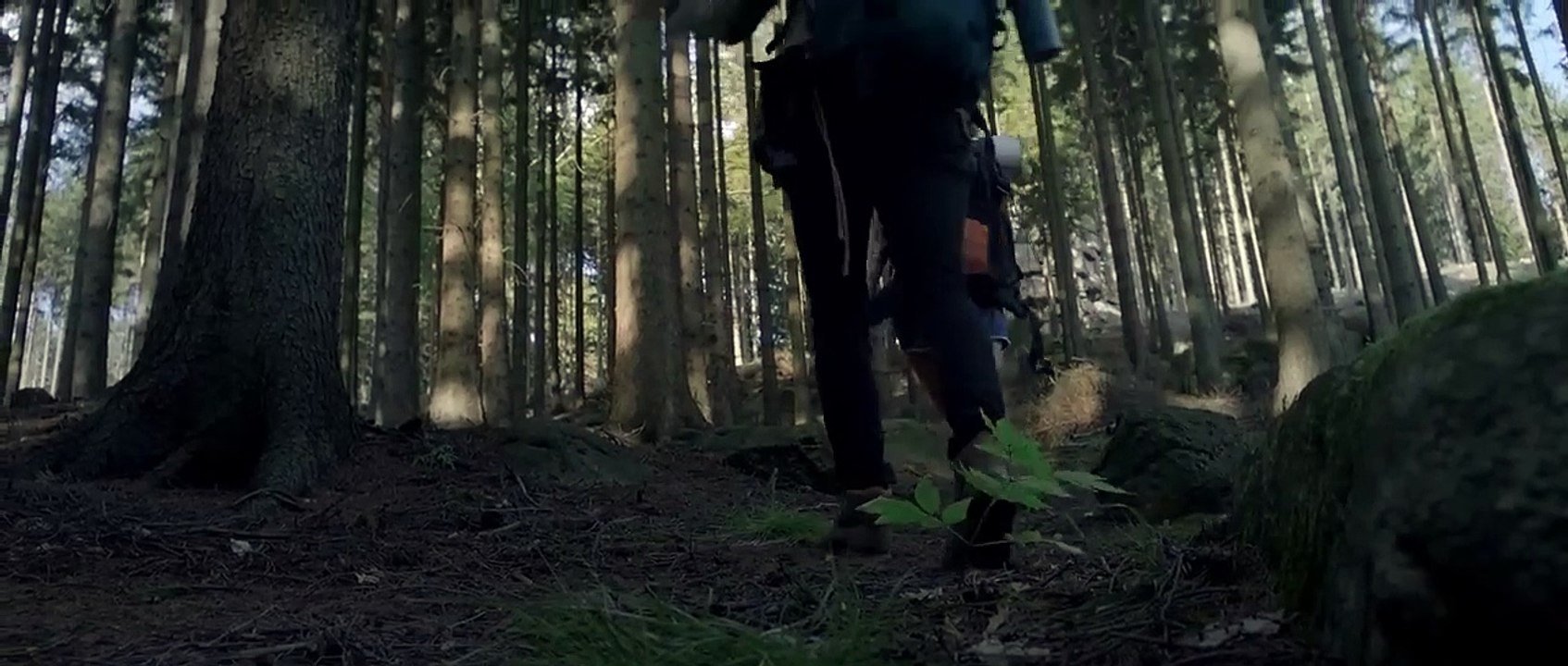 Redwood movie 2017 Official Trailer video Dailymotion