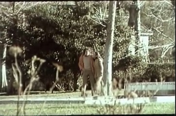 La vida continúa | movie | 1969 | Official Trailer