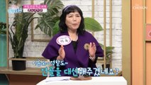 【 콘드로이친 】 관절 건강을 위한 특급 비책 TV CHOSUN 230201 방송