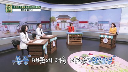 무릎 관절을 지키고 보호하는 구절초 속 리나린 성분 TV CHOSUN 20230201 방송