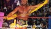 Hulk Hogan 'Is Doing Well and Is Not Paralyzed' Following Back Surgery _ Google