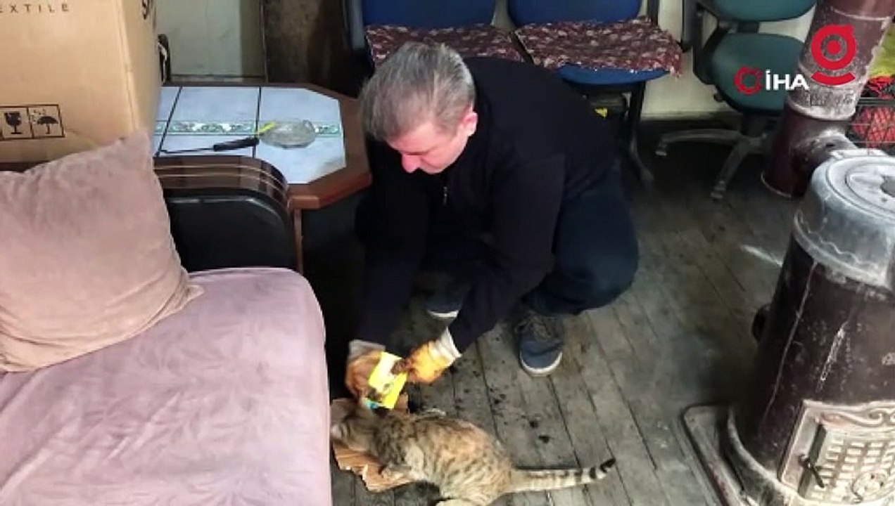 Taksi durağının maskotu 'Pilli' mama diye kapıya dayanınca ortaya sıcak görüntüler çıktı