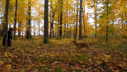 Rise of the Animals | movie | 2012 | Official Trailer