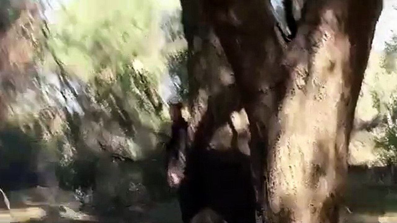 The Unit - Se4 - Ep17 - Flesh $$ Blood HD Watch