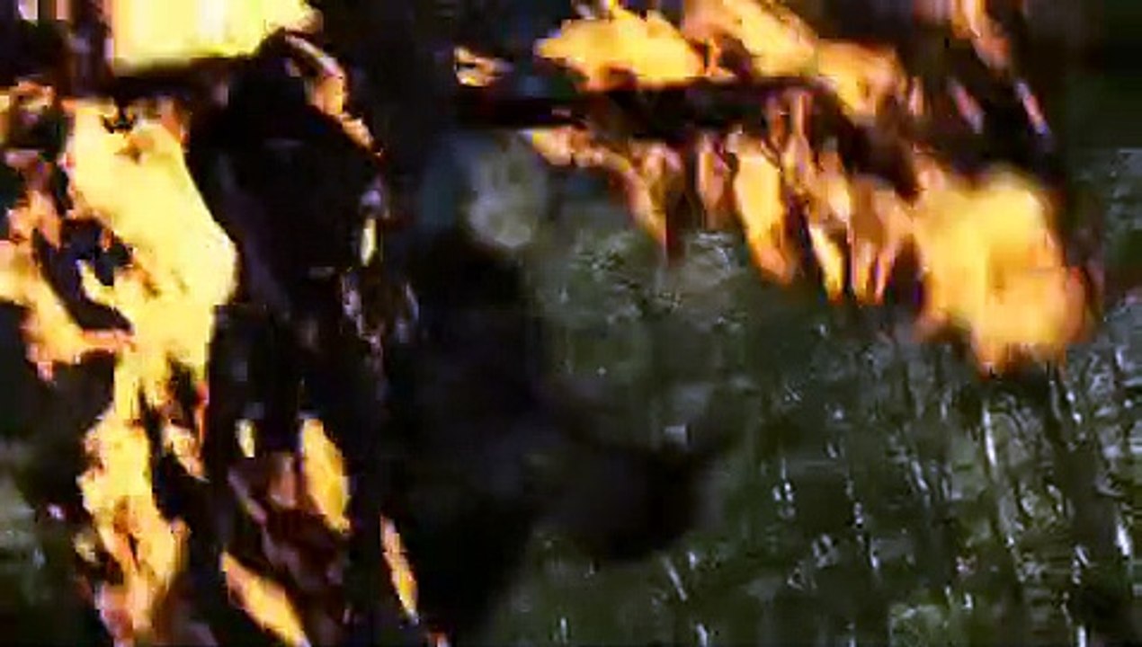 Dragonquest | movie | 2009 | Official Trailer