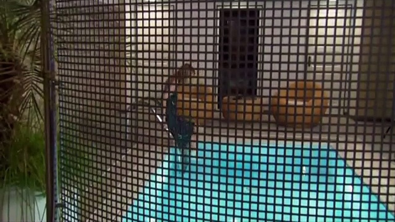 Set Point movie 2004 Official Trailer video Dailymotion