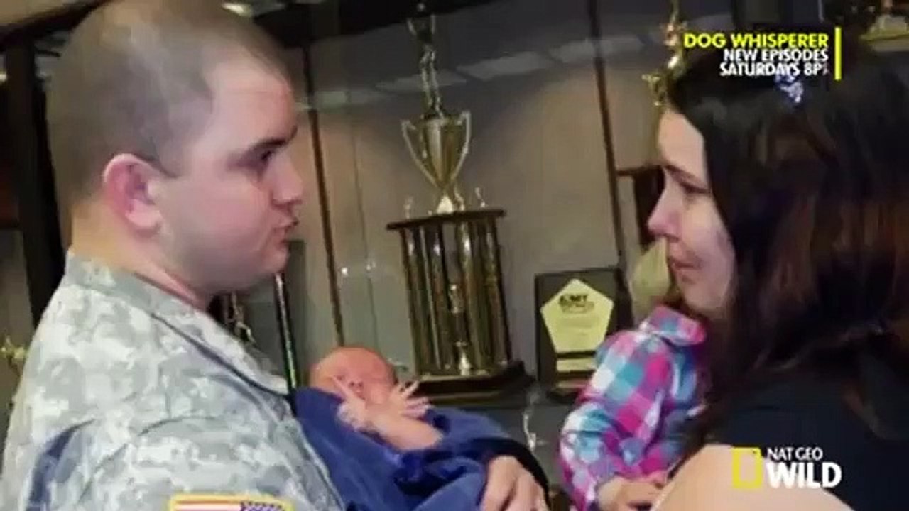 Dog Whisperer with Cesar Millan - Se8 - Ep04 HD Watch