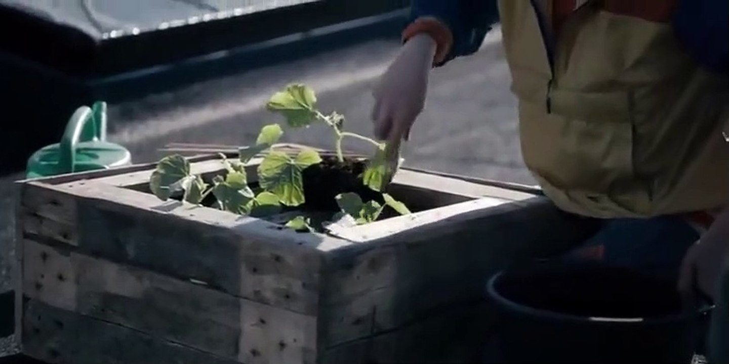 The Rain - Se2 - Ep03 HD Watch