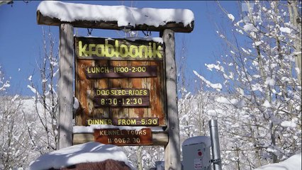 Sled Dogs | movie | 2017 | Official Trailer