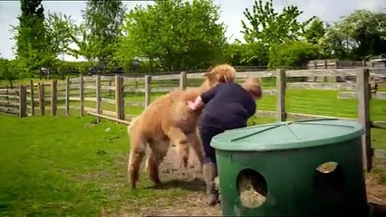 Embarrassing Pets | show | 2018 | Official Trailer