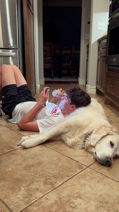 Using a Dog's Paw to Swipe Phone