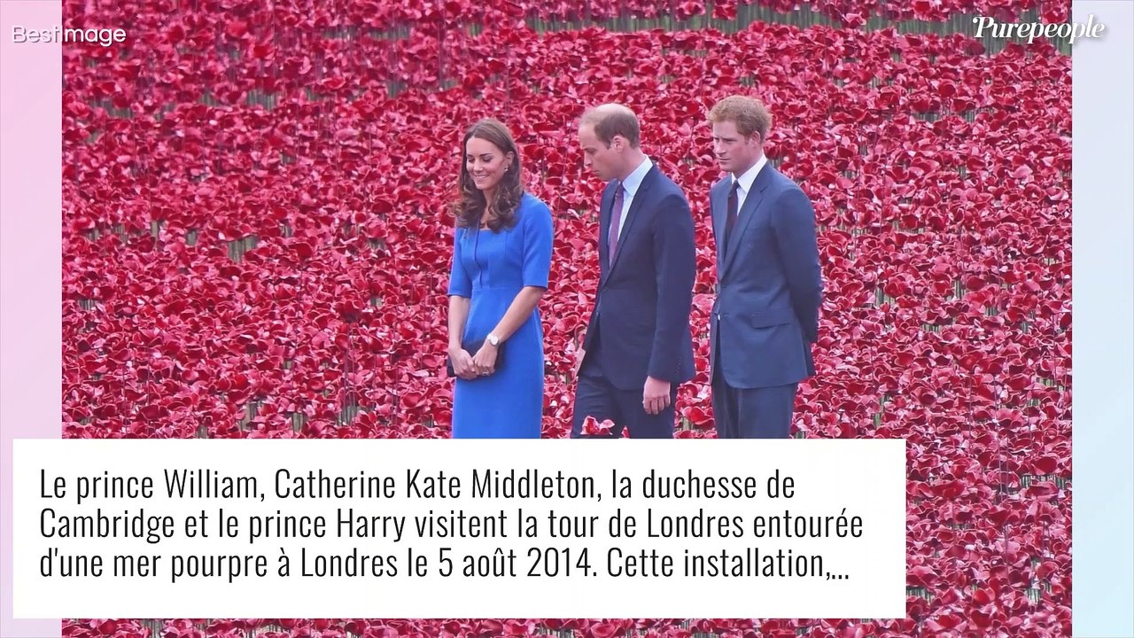 Harry se mêle de la vie des enfants de William, le prince hors de lui : réplique cinglante