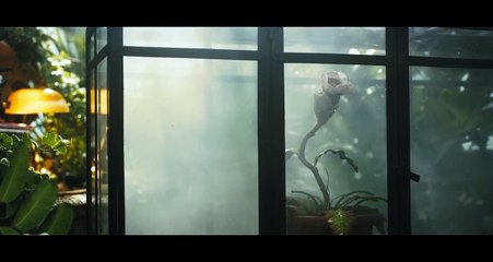 Earthy Encounters | movie | 2018 | Official Trailer