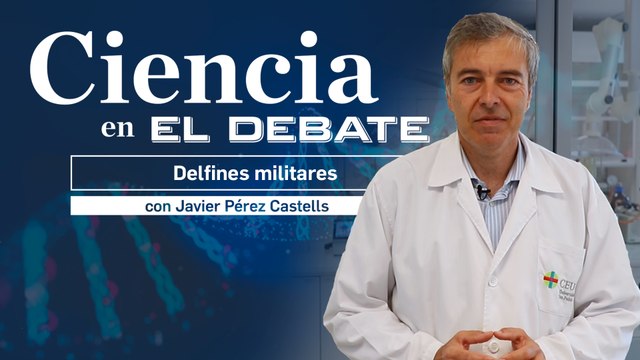 Castells revela la realidad de los delfines militares