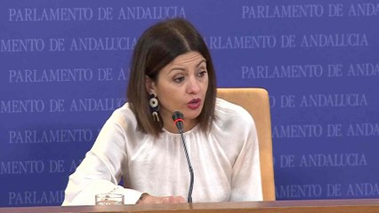 IU Andalucía asegura que la Ley Montero pone a España «en la vanguardia» «No se puede retroceder»