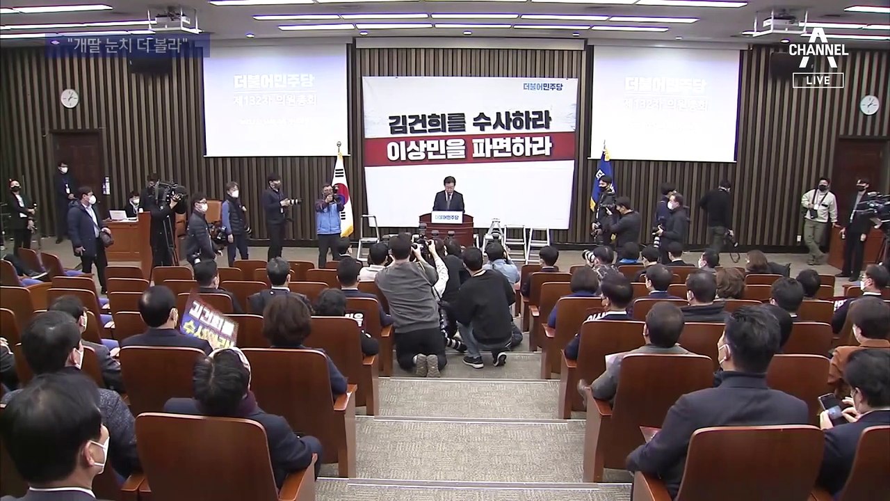 당원 평가 도입시…“개딸 눈치 더 보게 된다” 우려도