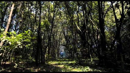 Naples '44 | movie | 2016 | Official Trailer