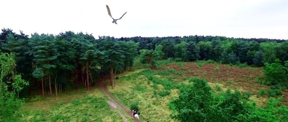 Knights of the Damned | movie | 2017 | Official Trailer