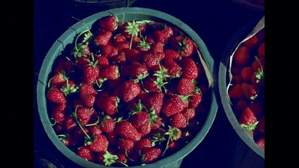 Enticing, Sugary, Boundless or Songs and Dances About Death | movie | 2017 | Official Trailer