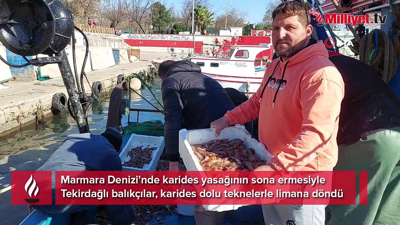 Yasak bitti, karides dolu teknelerle limana dön...