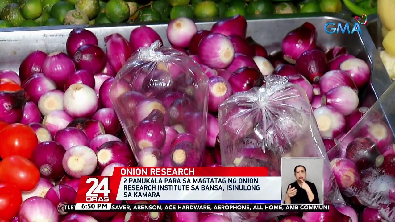 2 panukala para sa magtatag ng Onion Research Institute sa bansa, isinulong sa Kamara | 24 Oras