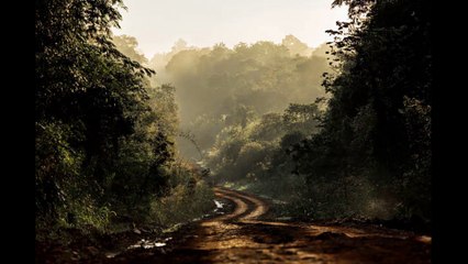 Quest in the woods-Film Soundtrack