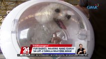 Fur babies, maaring nang isakay sa LRT-2 simula ngayong araw | 24 Oras