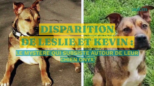 Disparition de Leslie et Kevin : le mystère qui subsiste autour de leur chien Onyx