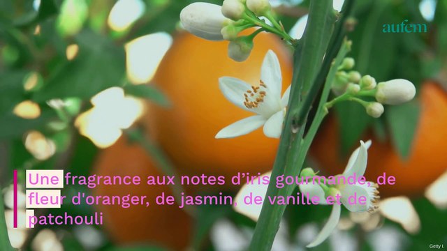 Ce parfum qui se vend toutes les 30 secondes en France est le préféré des Françaises