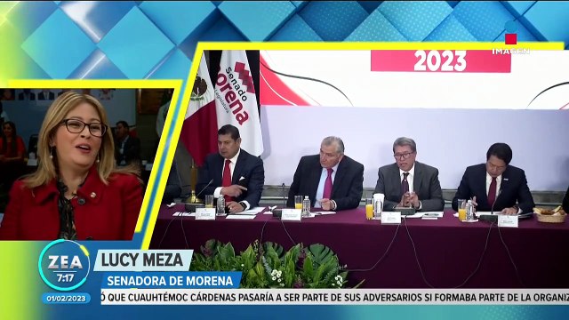 La plenaria de Morena y las corcholatas : Senadores hablan del tema