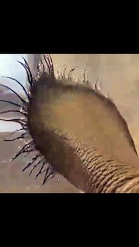 db546b2a-7a1b-4b18-8217-e07267040a52