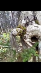 24154689-413f-4af2-b32f-0fb839cbc130