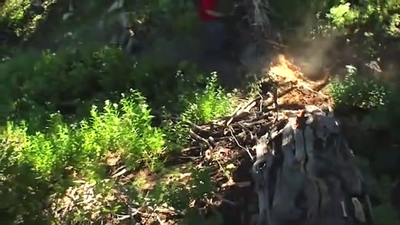 Freedom Riders | movie | 2009 | Official Trailer