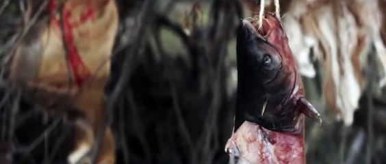 Gone Are the Days | movie | 2018 | Official Trailer