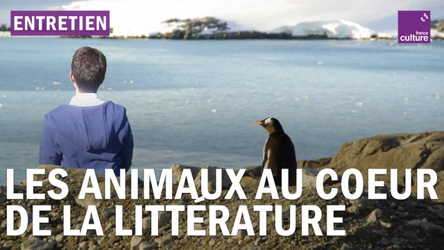Des livres, des animaux et des hommes