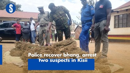 Police recover bhang, arrest two suspects in Kisii