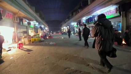 Racing Extinction | movie | 2015 | Official Trailer