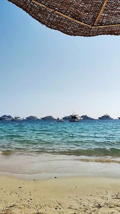 Cute doves on the Red Sea