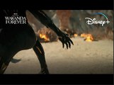 Black Panther: Wakanda Forever | Now Streaming on Disney  | Marvel Studios