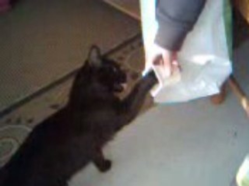 Vanille mange 1 yaourt