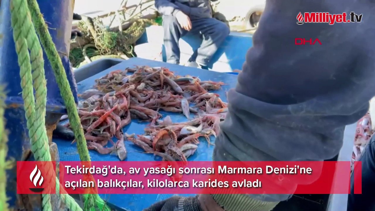 Tekirdağ'da av yasağı sonrası karides bereketi