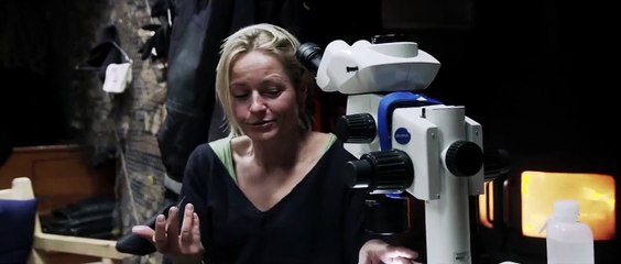 The Expedition to the End of the World | movie | 2013 | Official Trailer